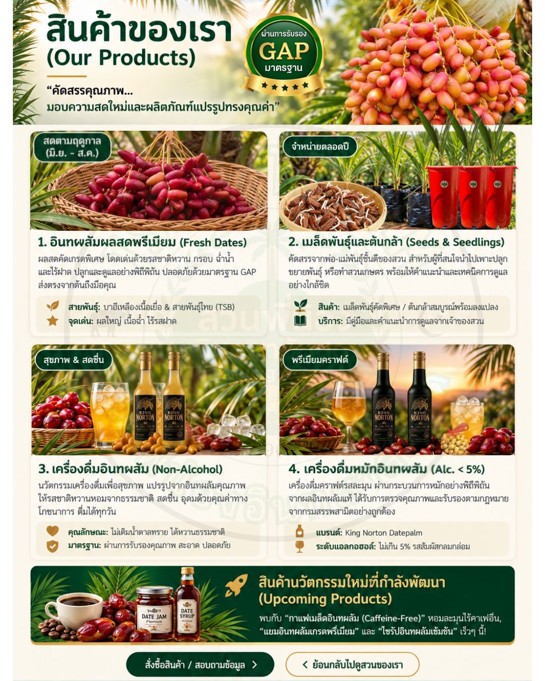 TSB Website V1 หน้า 5