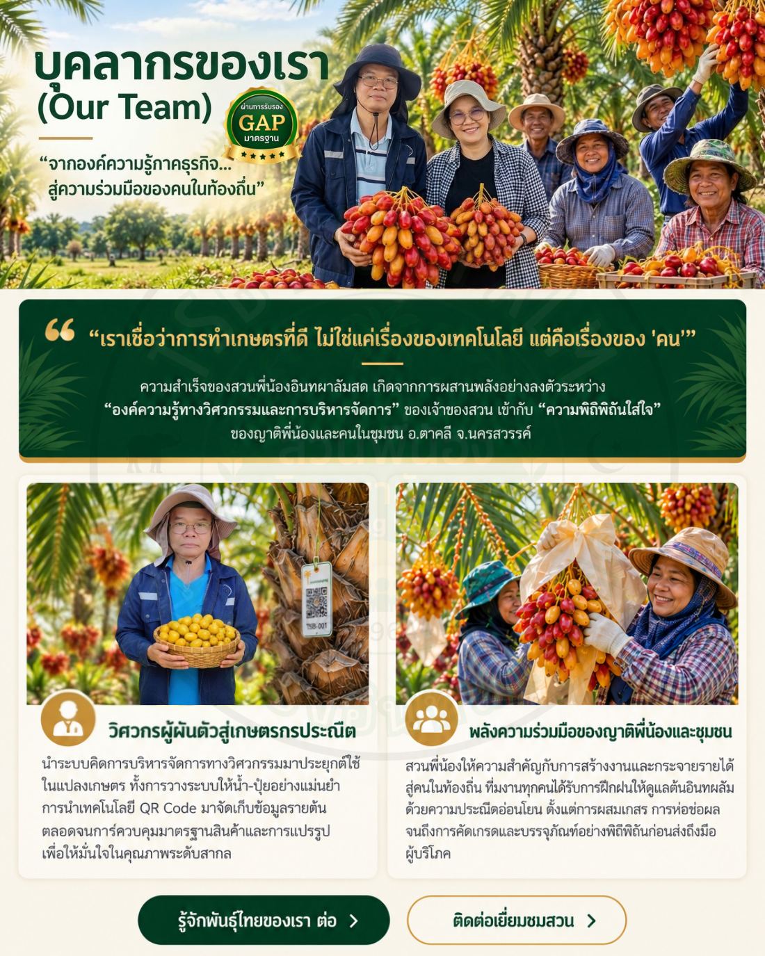 TSB Website V1 หน้า 6