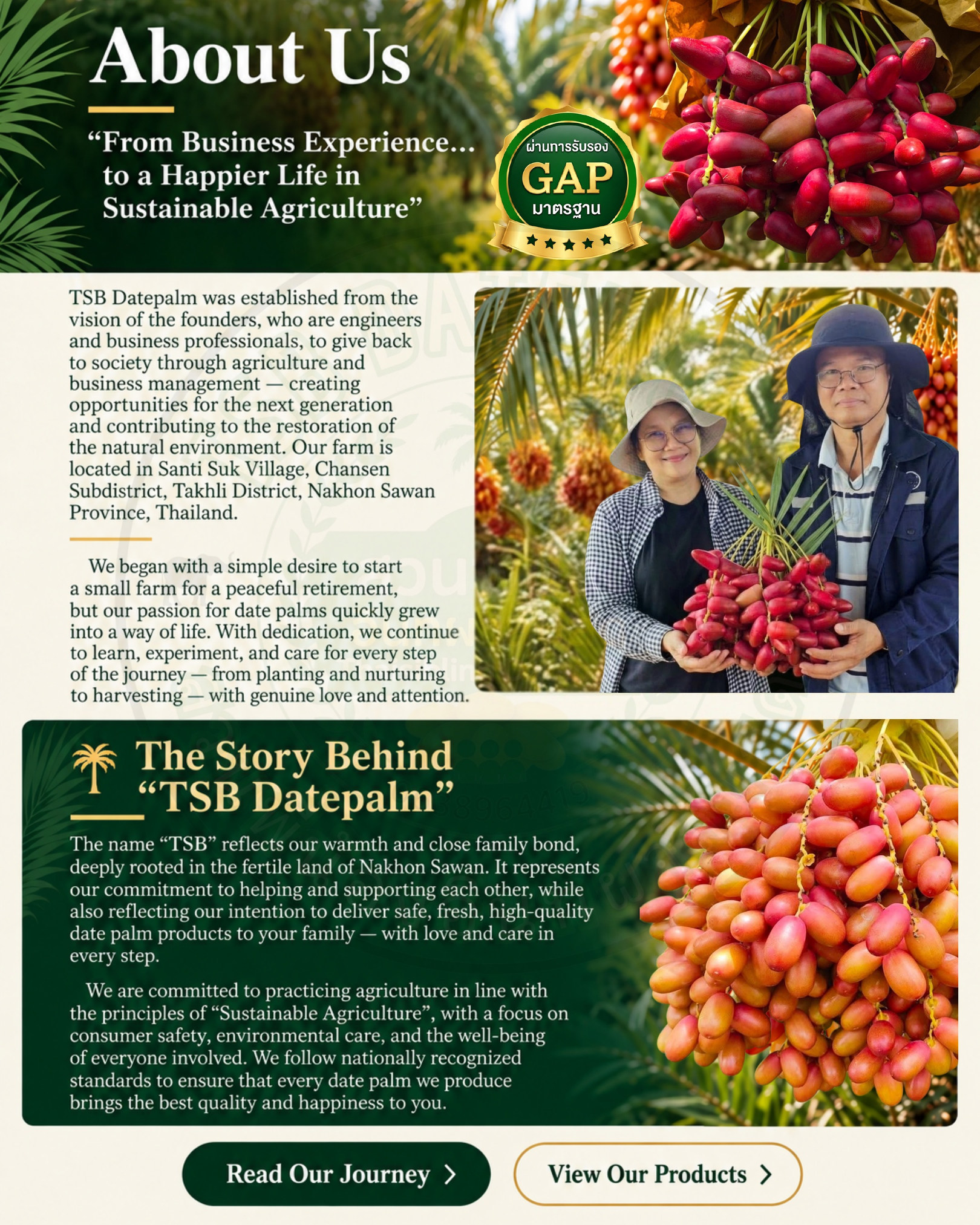 TSB Datepalm English website page 2