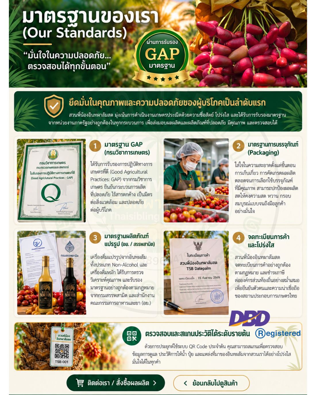 TSB Website V1 หน้า 8
