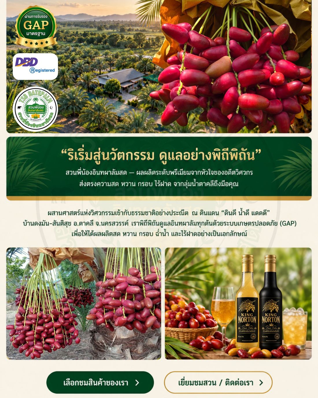 TSB Website V1 หน้า 1