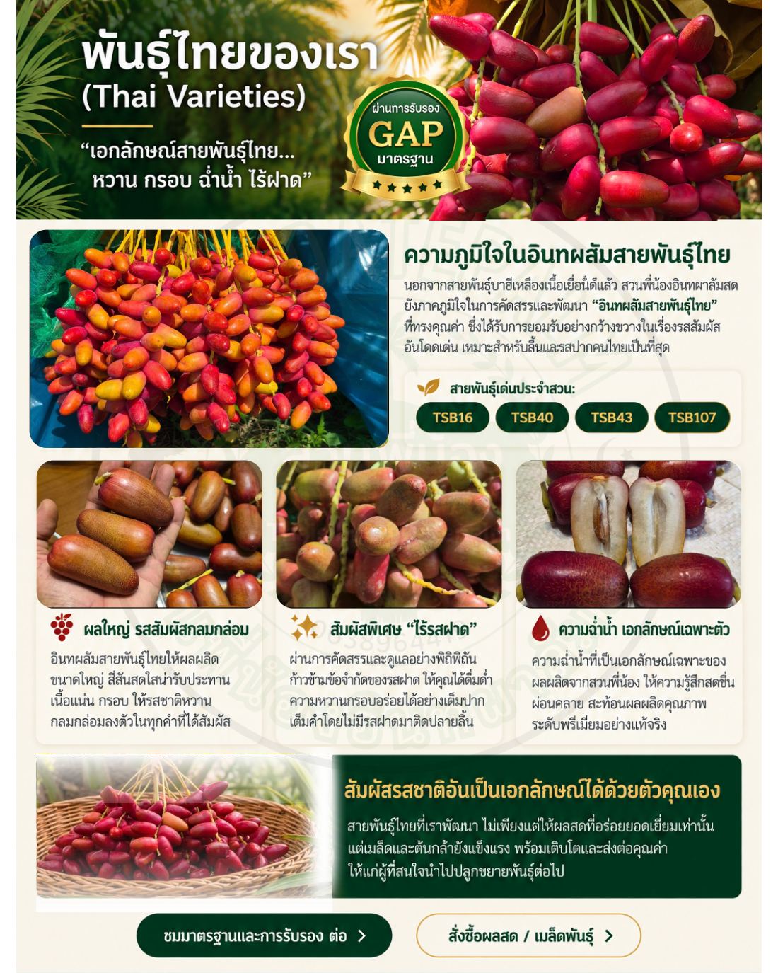 TSB Website V1 หน้า 7