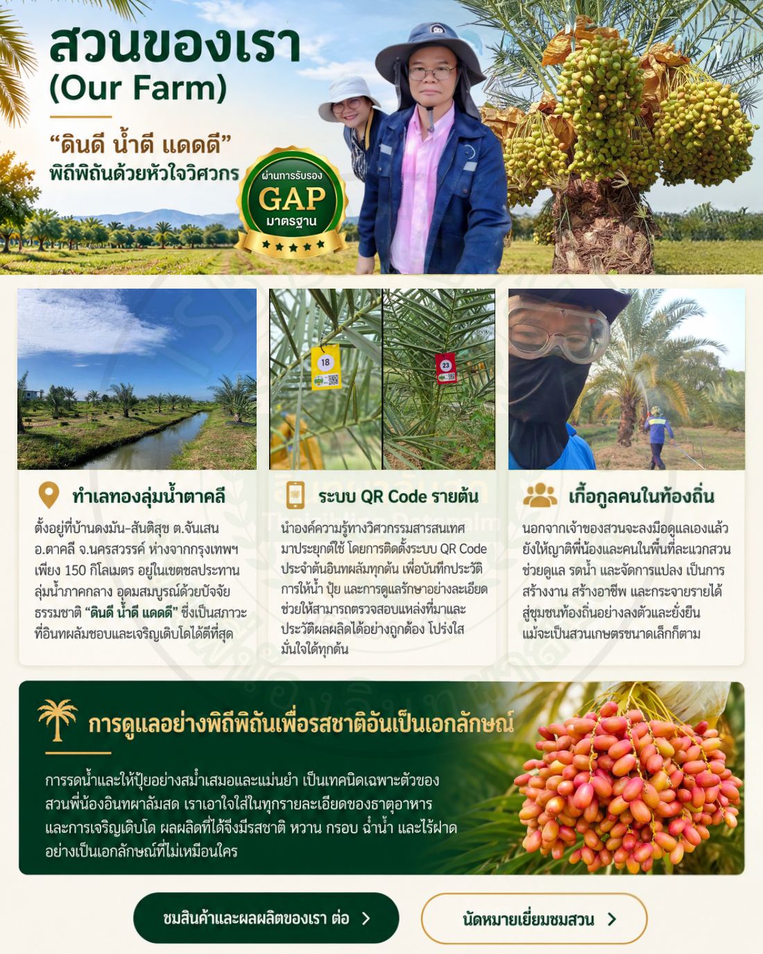 TSB Website V1 หน้า 4