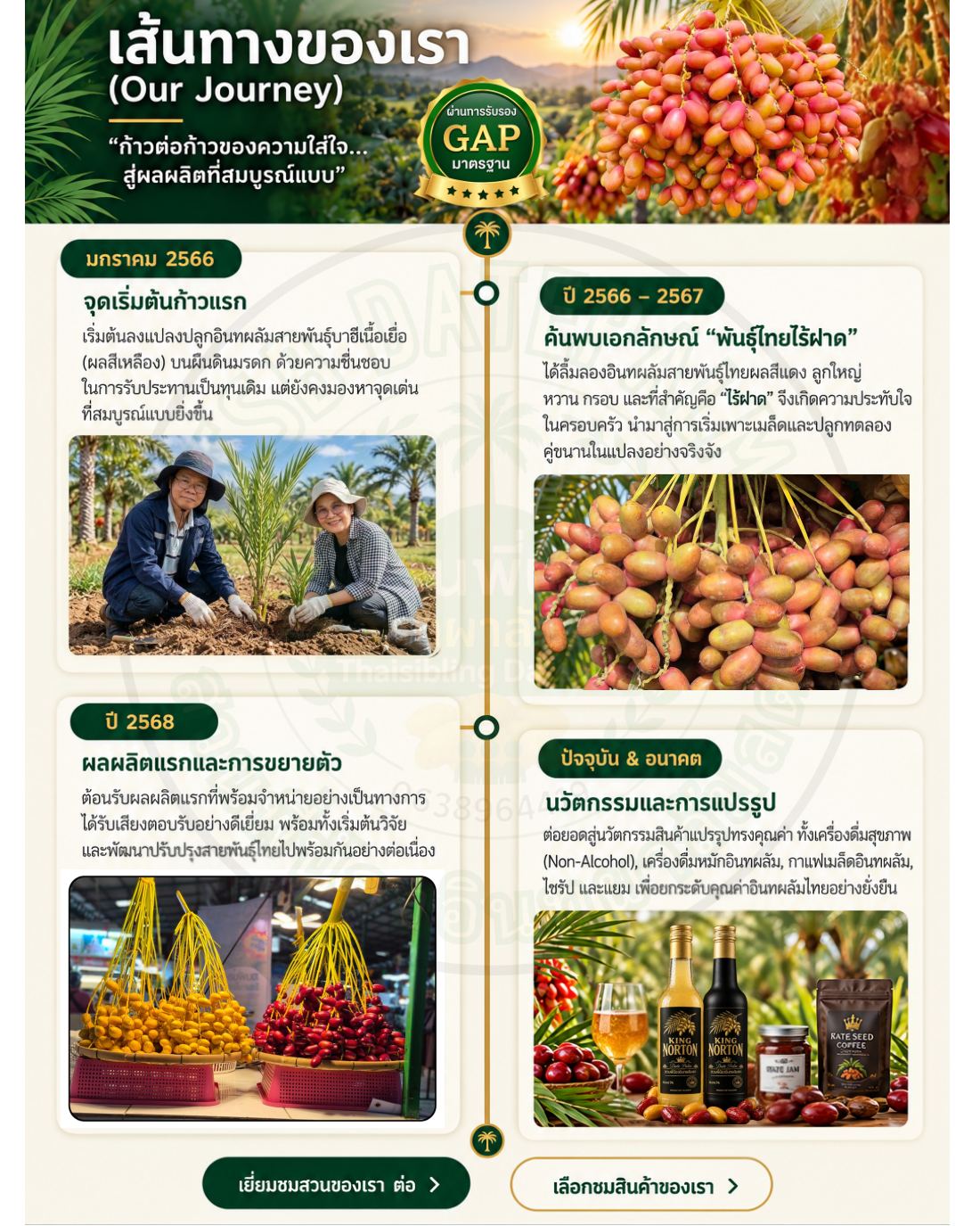 TSB Website V1 หน้า 3