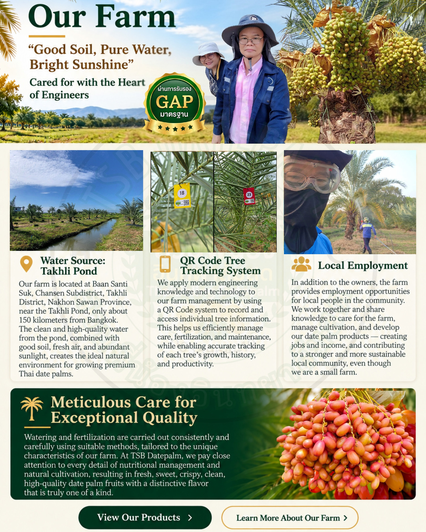 TSB Datepalm English website page 4