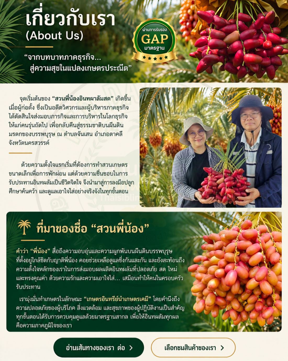 TSB Website V1 หน้า 2